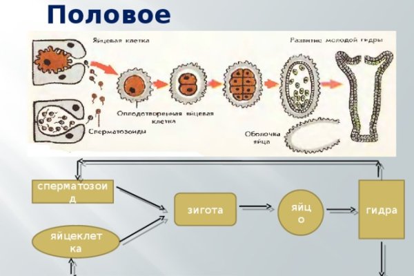 Золотая коллекция ссылок omg